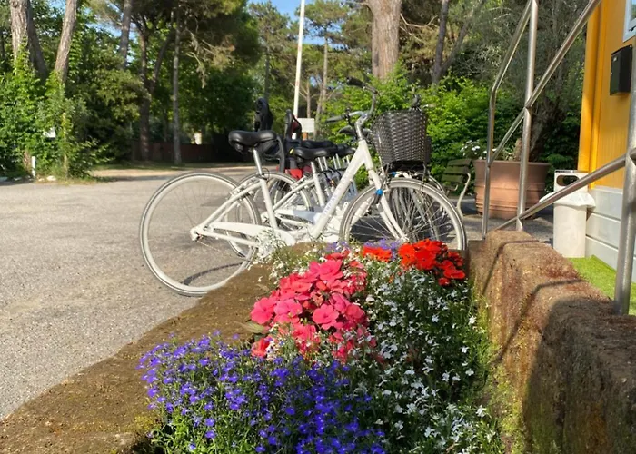 Dune Prestige & Bibione