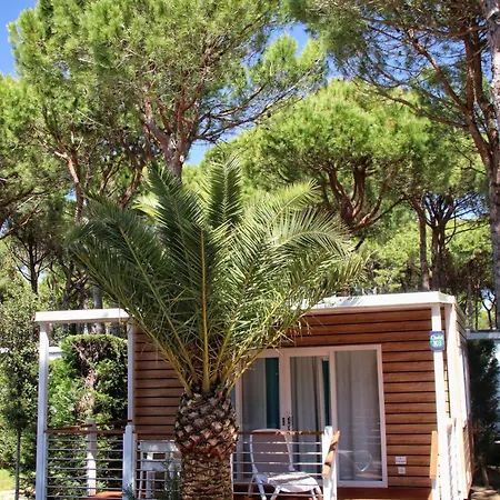 Apartment Dune Prestige&chalets