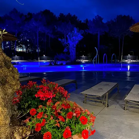 Appartement Dune Prestige &