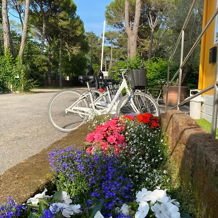 Dune Prestige & Μπιμπιόνε