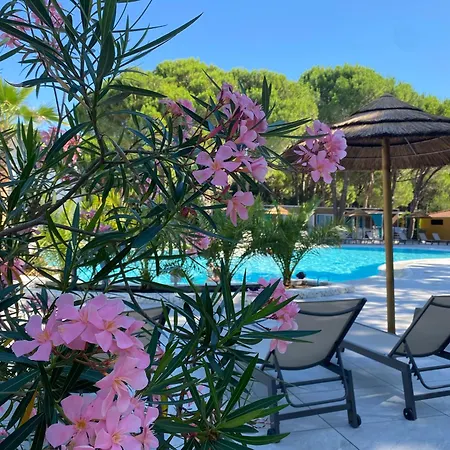 Dune Prestige&chalets Apartment