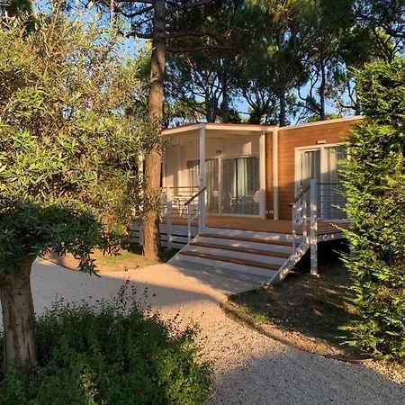 Apartment Dune Prestige & *