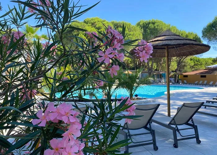 Dune Prestige & Apartament